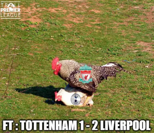 sh1ro推荐的明日之星xeedo何许人也？